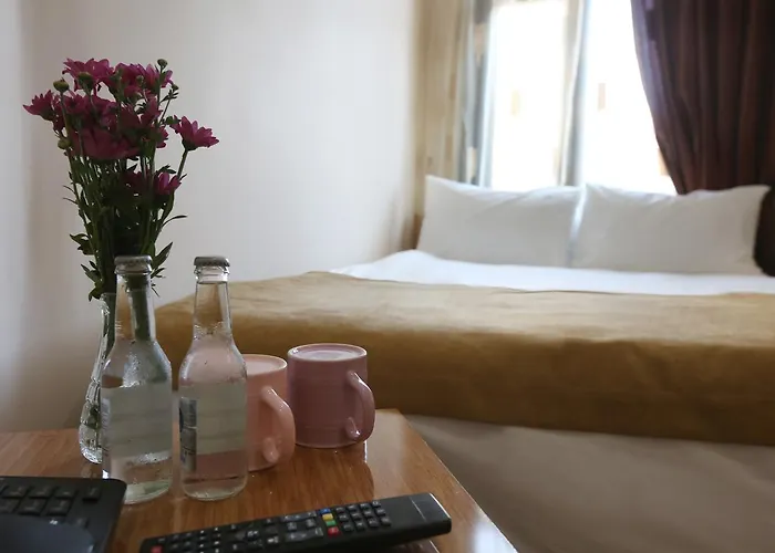 فندق ماكسويل