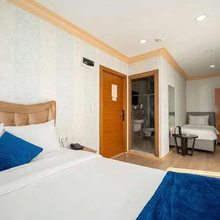 酒店 麦克斯韦酒店 3*