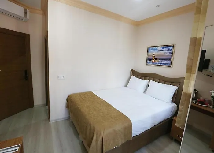 麦克斯韦酒店 酒店 伊斯坦布尔