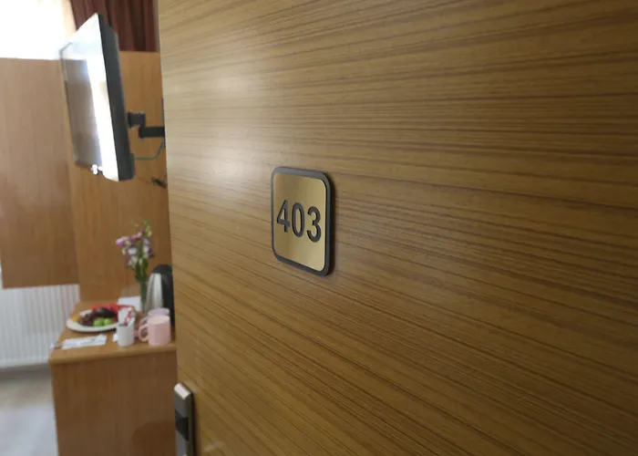 麦克斯韦酒店 3* 伊斯坦布尔