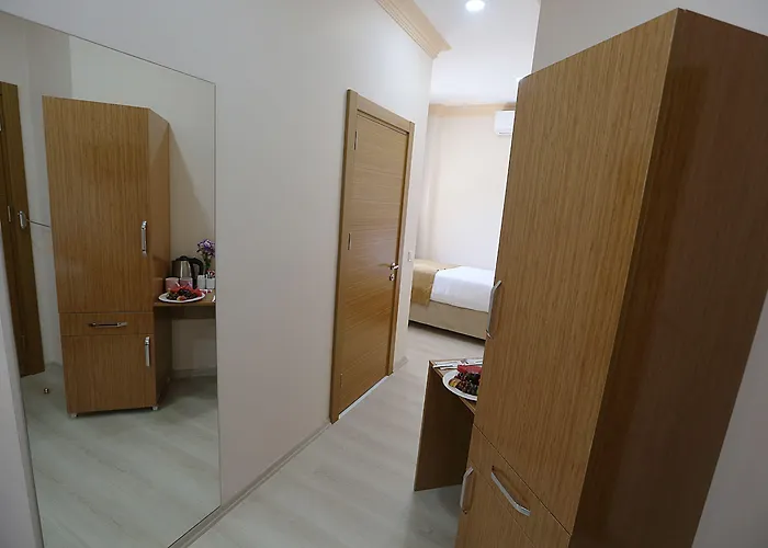 麦克斯韦酒店 酒店 伊斯坦布尔