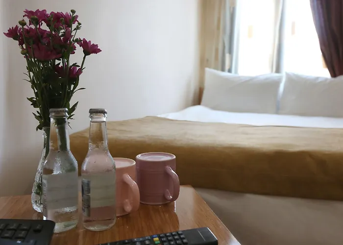 فندق ماكسويل