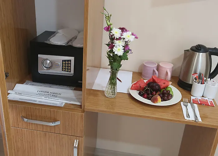 麦克斯韦酒店 酒店 伊斯坦布尔