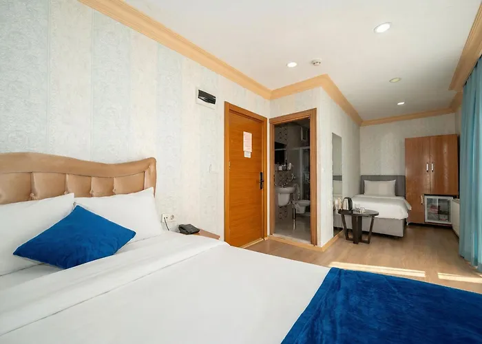 酒店 麦克斯韦酒店 3*