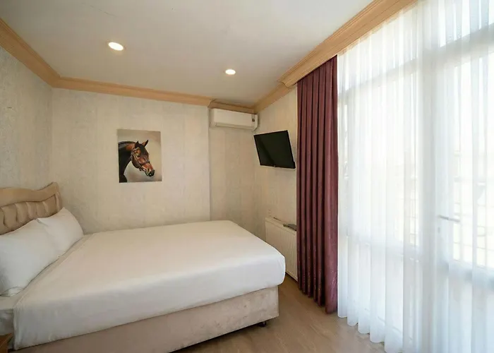 酒店 麦克斯韦酒店 伊斯坦布尔